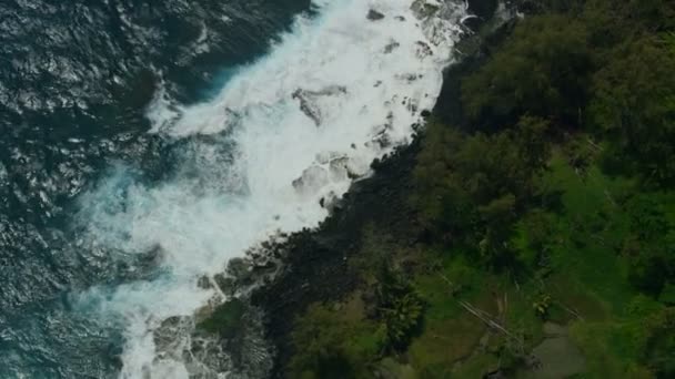 Uitzicht vanuit de lucht Hawaiiaanse kustlijn vruchtbaar landschap Big Island — Stockvideo