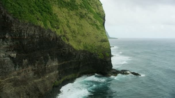 Aerial view Jurassic fertile coastline tropical rainforests Hawaii — Stock Video