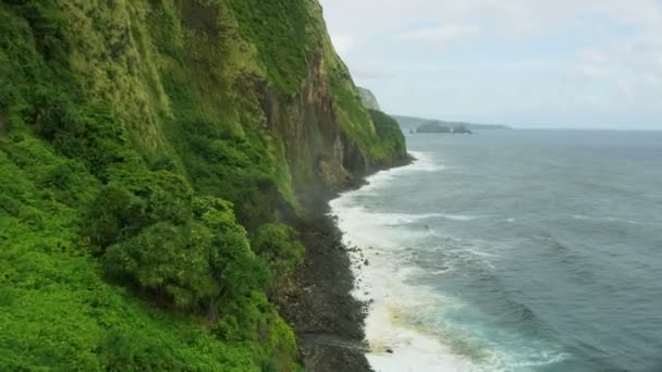 Aerial view Jurassic fertile valley rainforests rock cliffs — Stock Video
