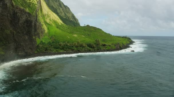 Aerial view Pacific ocean coastline waterfall Hawaii America — Stock Video