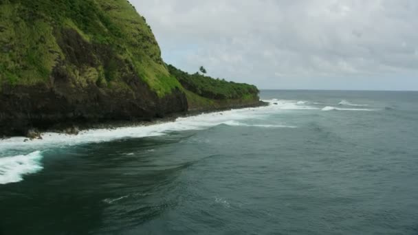 Aerial view Jurassic valley tropical rainforests Hawaii America — Stock Video