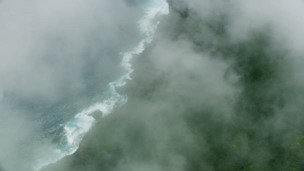 Vista aérea costa havaiana paisagem fértil Big Island — Vídeo de Stock