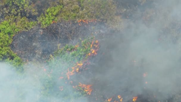 Flygfoto vulkaniska magma förstöra byggnad Kilauea Hawaii — Stockvideo