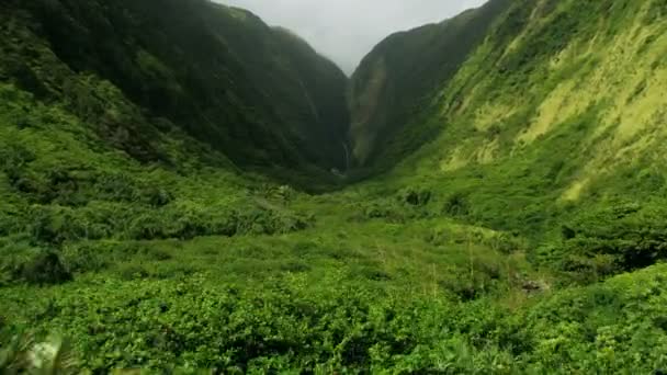 Pandangan udara Pantai subur Jurassic hutan hujan air terjun Hawaii — Stok Video