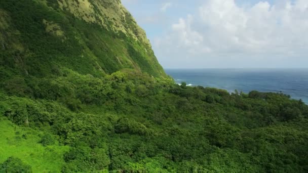 Vista aérea Jurassic coastline tropical rainforests Big Island — Vídeo de Stock