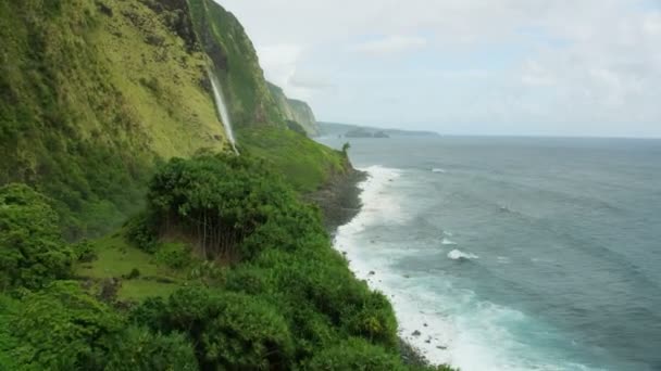 Uitzicht vanuit de lucht verticale waterval tropisch klimaat Big Island — Stockvideo