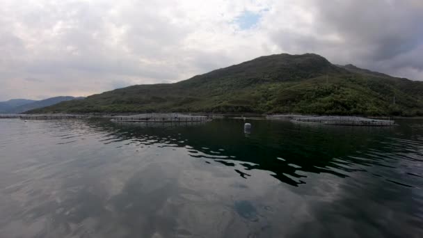 Schottische Lachsfarm Loch Alsh Schottland UK — Stockvideo