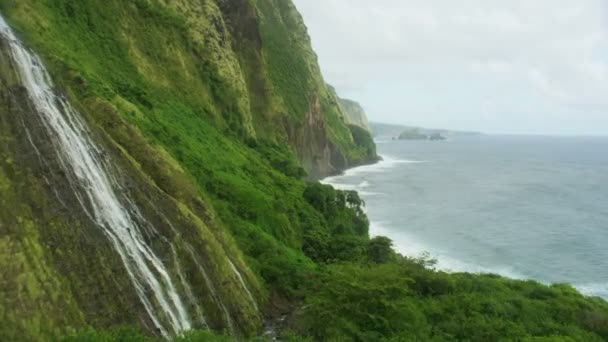 Aerial view tropical rainforests rock cliffs waterfalls Hawaii — Stock Video