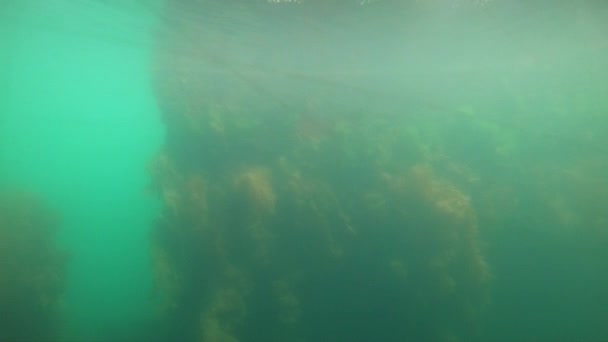 Unterwasser-Schiffbruch des 2. Weltkriegs im Kyle of Lochalsh — Stockvideo