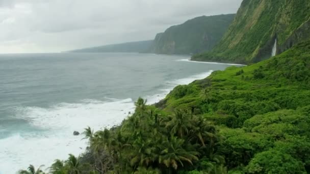 Vista aérea fértil vale florestas tropicais cachoeiras Havaí — Vídeo de Stock