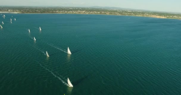 Flygfoto yacht race Port Phillip Bay Melbourne — Stockvideo