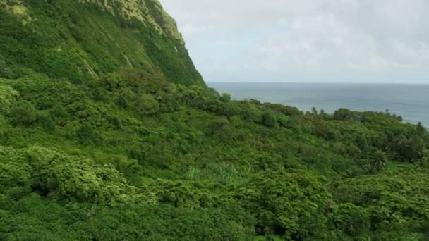 Aerial view Jurassic fertile valley tropical rainforests Hawaii — Stock Video