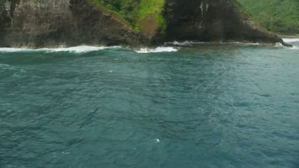 Vista aerea Oceano Pacifico scogliere costa foreste pluviali Hawaii — Video Stock