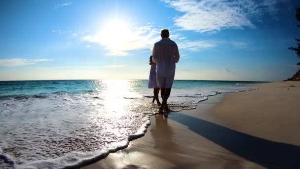 Silhuett av seniorer dansar på stranden utomhus Bahamas — Stockvideo