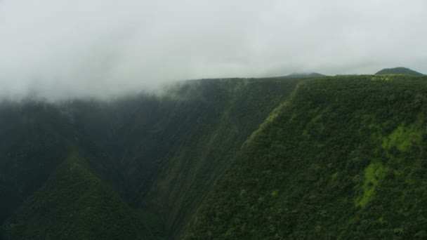 Yağmur Ormanları Vadisi Şelalesi, Pasifik Hawaii — Stok video