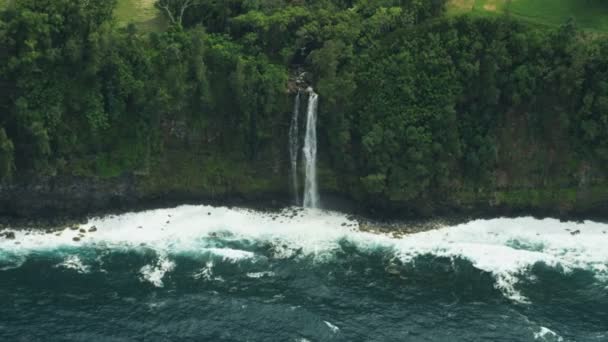 Widok z lotu ptaka Las wodospad Big Island Hawaje Ameryka — Wideo stockowe