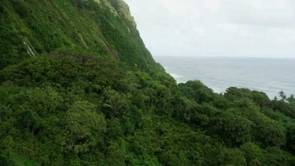 Aerial view cliffs Pacific ocean coastline tropical climate — Stock Video