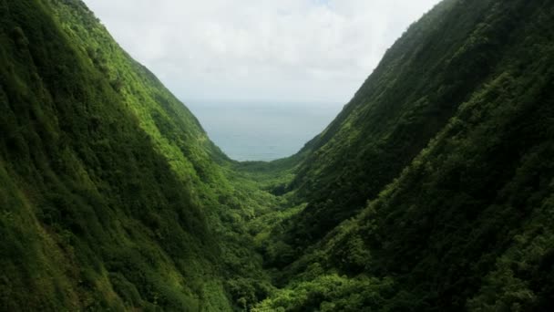 Tatlı suyun hava manzarası kıvrımlı nehir yağmur ormanları Hawaii — Stok video