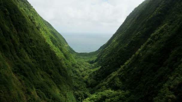 Aerial view of freshwater winding river rainforest Hawaii — Stock Video