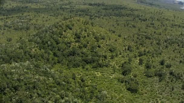 Vista aérea paisaje volcánico árboles y vegetación Hawaii — Vídeos de Stock