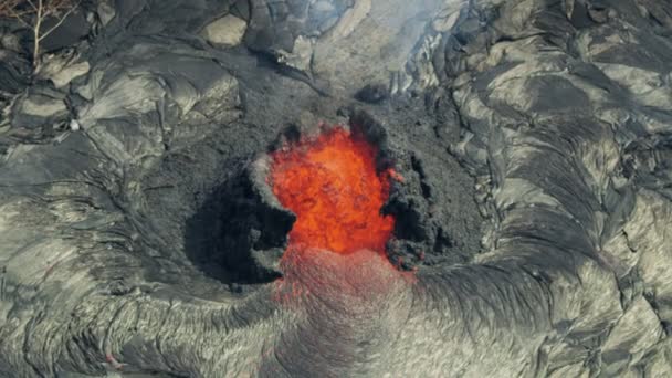 Повітряний вид активної вулканічної активності знищує дерева — стокове відео