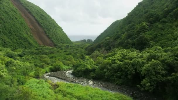 Vista aerea tortuoso valle del fiume d'acqua dolce Hawaii Stati Uniti — Video Stock