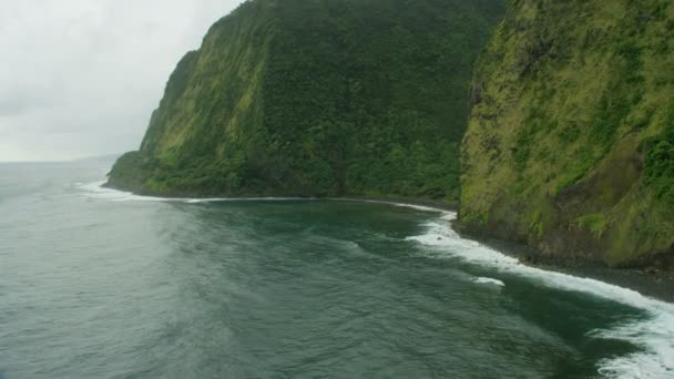 Aerial view fertile tropical rainforests Big Island Hawaii — Stock Video