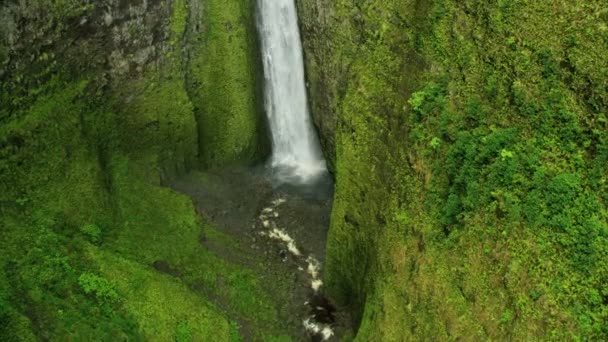 Vista aérea vale verde cachoeira de água doce Big Island — Vídeo de Stock
