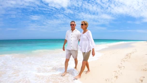 Aimer couple de personnes âgées marchant sur la plage vacances Bahamas — Video