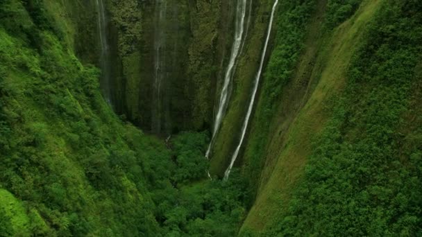 Vista aérea florestas tropicais falésias cachoeiras Big Island Havaí — Vídeo de Stock
