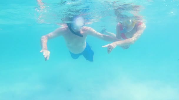 Caucásico retirado pareja americana snorkeling y natación Bahamas — Vídeo de stock