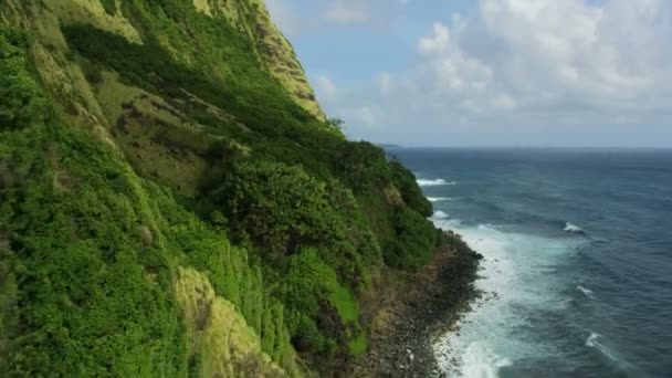 Uitzicht vanuit de lucht Stille Oceaan kustlijn verticale waterval Hawaï — Stockvideo