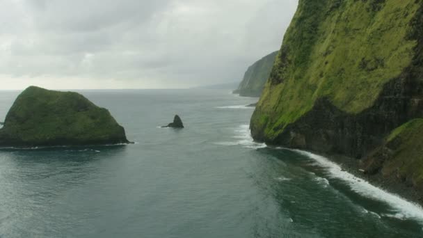 空中ビュー肥沃な渓谷の熱帯雨林の崖｜ハワイUSA — ストック動画
