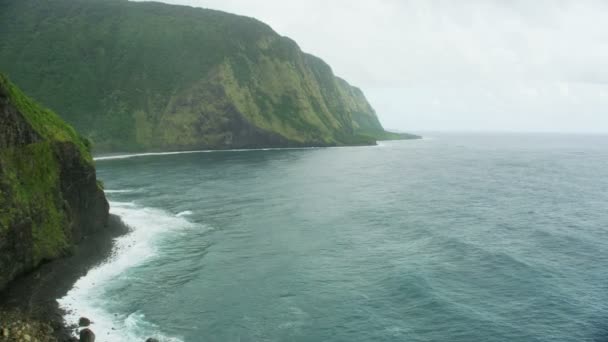 Vista aérea acantilados altos costa cascada vertical Hawaii — Vídeo de stock