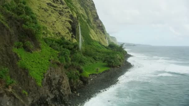 Luchtfoto tropisch regenwoud rots kliffen watervallen Hawaï — Stockvideo