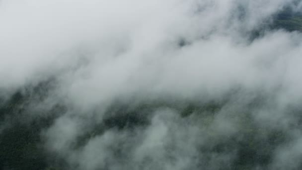 Vista aérea baja nube verde paisaje Hawaii EE.UU. — Vídeos de Stock