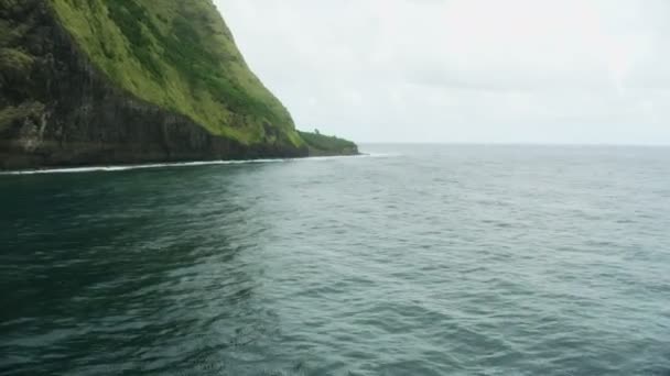 空中ビュー｜ジュラシック肥沃な海岸線熱帯雨林ハワイ — ストック動画
