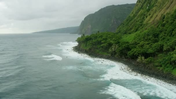 Aerial view high cliffs coastline vertical waterfall Hawaii — Stock Video