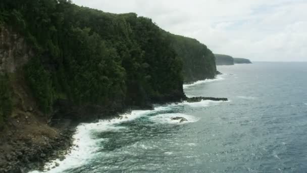 Vista aerea scogliera top foreste Oceano Pacifico costa — Video Stock