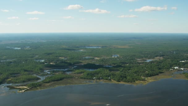 Veduta aerea di Apalachicola Foresta nazionale Ochlockonee Bay — Video Stock
