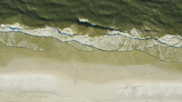 Letecký pohled toxický zelený oceán červený příliv Florida — Stock video