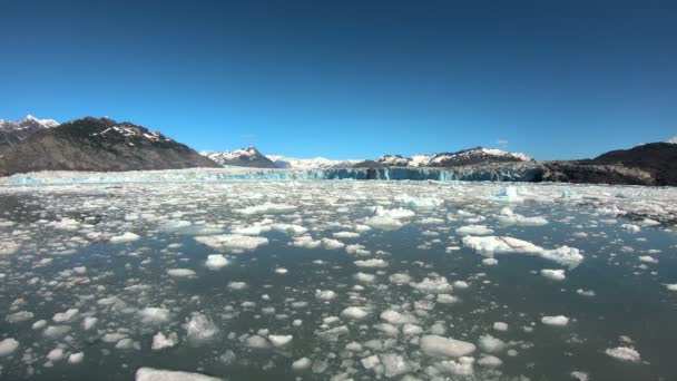 Gran área del océano cubierta de hielo rota del glaciar — Vídeo de stock