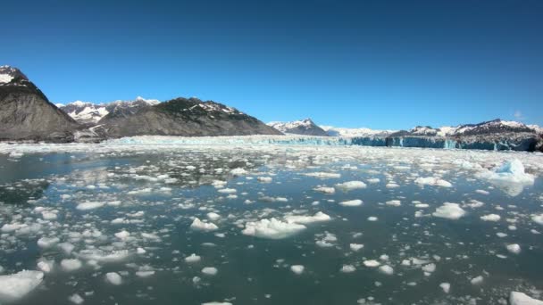 Аляскинский ледник с тающим льдом — стоковое видео