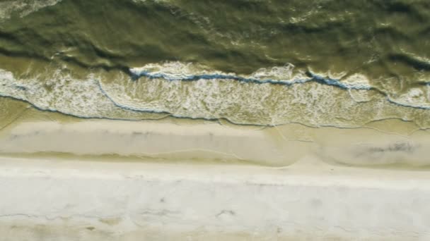 공중에서 보면 독성이 있는 녹색 바다 적조 플로리다 — 비디오