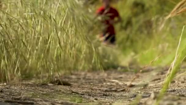 Atlético Caucásico Corredor Masculino Entrenamiento Para Trail Run Carrera Resistencia — Vídeo de stock