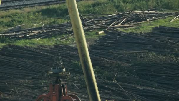 Grúa vista aérea que mueve madera a fábrica de papel — Vídeos de Stock