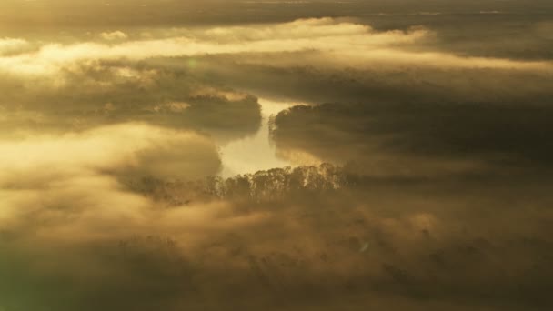 Lumière du soleil brumeuse aérienne Apalachicola National Forest Florida USA — Video