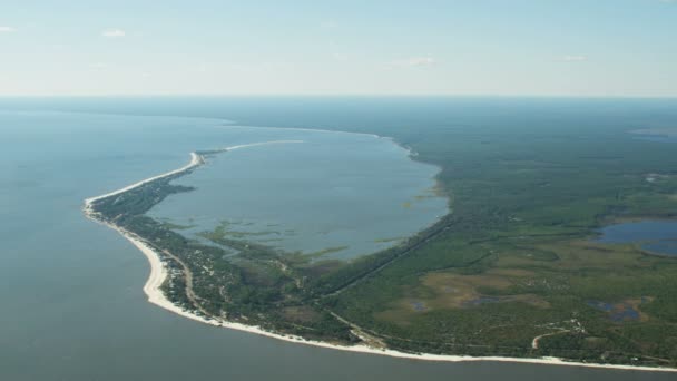 Vista aérea Alligator Point Waterfront casas Florida EUA — Vídeo de Stock