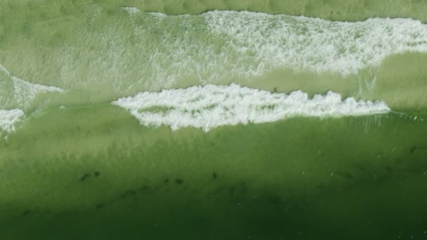 Olas de vista aérea que transportan la flor tóxica de la marea roja — Vídeo de stock