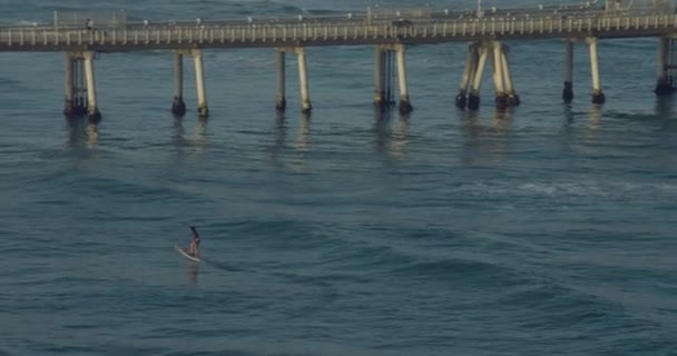 Flygvy Surfare Paradiset vid soluppgången människor surfbräda — Stockvideo